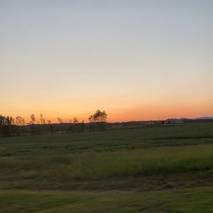 Meet your Posher, Isabella